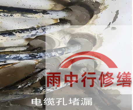 山西电缆线空洞堵漏加固案例